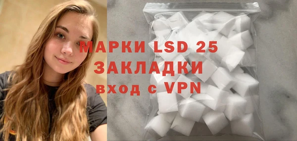 индика Михайлов
