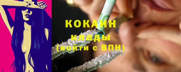 трава Надым
