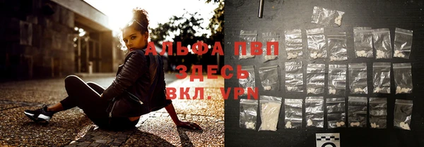 трава Надым